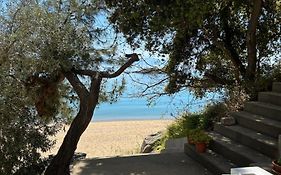 Secret Bay